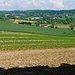 auf dem Weg nach Lauzerte