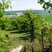 auf dem Weg nach Lauzerte