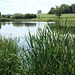 Teich in Friedewald