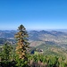 Die Aussicht ist - erwartungsgemäß - fantastisch. Das geht ihm Südwesten los, mit ein paar Vogesen: Ungersberg, Champ du Feu, Rocher de Mutzig, Schneeberg.