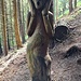 <b>“Che stremizi!”, ossia “che spavento!”, un “simil Urlo” ispirato ad Edvard Munch, molto ben riuscito - Luca Galli.<br /><img src="http://f.hikr.org/files/4082717k.jpg" /><br />Edvard Munch, 1893.</b>