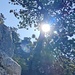 Die Sonne kommt