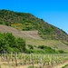 In den Wein und das Pommerbachtal runter