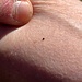 Ed anche oggi l'amico Paolo ci ha <b><i>azzeccato</i></b>
