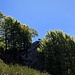 Eccolo al naturale