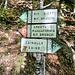 Ecco le indicazioni