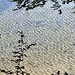 Glasklar das Wasser. Die Flachwasserzone bricht nicht weit vom Ufer weg gut 100 m in die Tiefe ab.