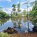 Idyllischer Weiher im rechten Licht