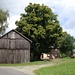 Tännicht, alter Bauernhof mit Umgebindehaus
