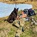 Siesta auf 2000 Metern.
