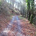 La via migliora....[The trail becomes better...]