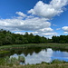 Unterwegs im Knudmosen - Blick über einen Weiher in der Nähe des Hundeskov.