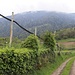 wandern auf dem WeinKulturWeg 