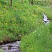 Frühling