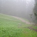 Ich erreiche den breiten Weg durch das Wustbachtal und folge diesem hinunter bis nach Burgberg. 