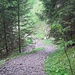 Hier komme ich wieder an der Abzweigstelle des Funkenwegs vorbei.