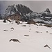Ormai arrivati