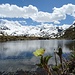 ...um vom anderen Seeles See zur Weißseespitze