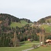 schöner Rückblick bei Eichholz in die sanfte Hügelwelt bei Stägacher (Goldiwil)