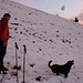 Schneeballspielen??