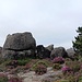 Ich landete auf einem Plateau östlich des Gipfelaufbaus. 