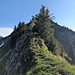 Ridge path towards Pointe de Bremingard