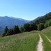 Nach langem Abstieg werden die Beine zusehends müde: das liebliche Wiesengelände kurz vor dem P Motori (vorn im Wald).