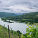 Durch den Wein