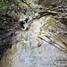 Blick zum hohen Sandsteinwasserfall, Oberkante