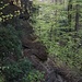 Blick in die Mülbärger Störung - Blick auf die Südwand, vor allem Sandstein.