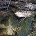 ein klares Becken