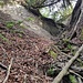 Blick in die Mülbärger Störung - links die Nordostwand, die Eibe hängt über einer Nagelfluhbank