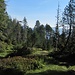 bosquecito lindo para descansar<br />ein Wäldchen zum Ausruhen