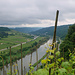 Durch den Wein und hoch