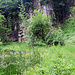 Besuch der renaturierten Steingruben am Hundsbuck.