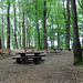Grillstelle am Gebenstorfer Horn.