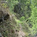 Der breite unmarkierte gute Höhenweg auf der Nordseite der Plenge