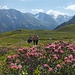 Nach der sumpfigen Ebene hinter der Gruppe kommt der schönste Teil der Tour: sanfte Hänge umsäumt von Alpenrosen.