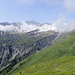 Zaneihörner