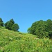 Nach einer schmierigen Waldpassage endlich im offenen Gelände