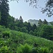Blick zum Chüemettler Den Kletterweg ließen wir aber dieses Mal links liegen und "unterwanderten" den Gipfel erst einmal, was nach Ober Stögg aber auch kein Spazierweg war.