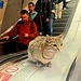 TAG 2 (16.5.) - İstanbul:<br /><br />Kätzchen in der Metrostation Gayrettepe. In İstanbul leben etwa 125000 Katzen frei in der Stadt die sehr beliebt sind und gefüttert werden.<br /><br />Die historischen Wurzeln der Katzen in İstanbul lässt sich bis ins Osmanische Reich zurückverfolgen. In dieser Zeit wurden die meisten Häuser in İstanbul aus Holz gebaut und boten Mäusen und Ratten Unterschlupf. Dieser Nagetierreichtum machte die Anwesenheit von Katzen in der Stadt zu einer Notwendigkeit. Diese Katzenbewohner wurden zu Hütern von Haushalten, Schutz wertvoller Lebensmittelvorräte und unschätzbarer Dokumente vor der Geissel der Schädlinge. 