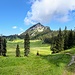 Bayrische Wildalm mit Halserspitz