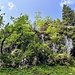 der Hintere Sattelkopf mit wurstigen Austiegsoptionen