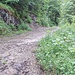 Überquerung Fahrweg