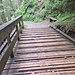 Holzbrücke und Rastbank, beide nass