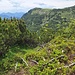 Fellhorn - circa 80 Meter höher