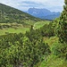 Hochtrittalm und Kaisergebirge