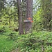Nächster Wegweiser aus Holz mit Farbe