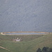 alpe moncerchio